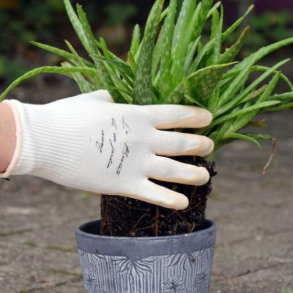 Rostaing - Gants de jardinage Nude - Taille 7-S - MEDIA_EN_SITUATION_1